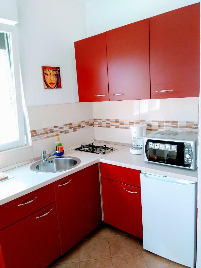 Apartments And Room Markovic ロヴィンスコ・セロ エクステリア 写真